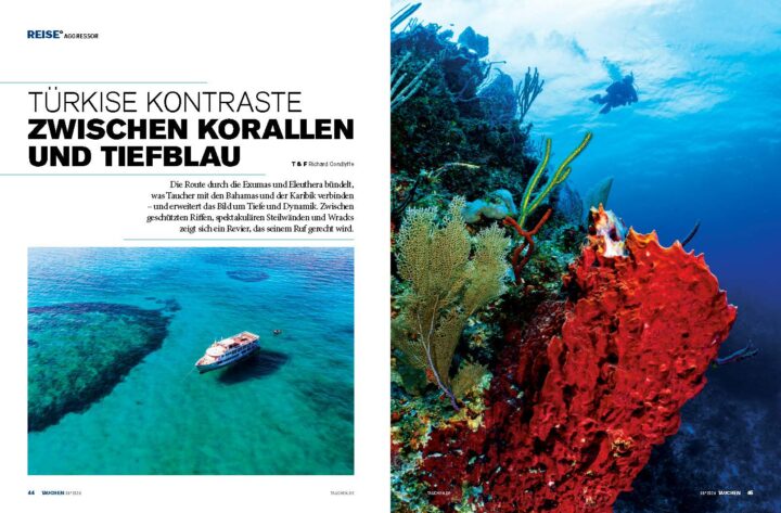 TAUCHEN Magazin Ausgabe Mai 2026