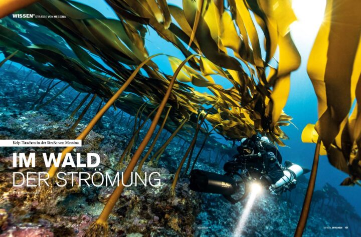 TAUCHEN Magazin Ausgabe Mai 2026