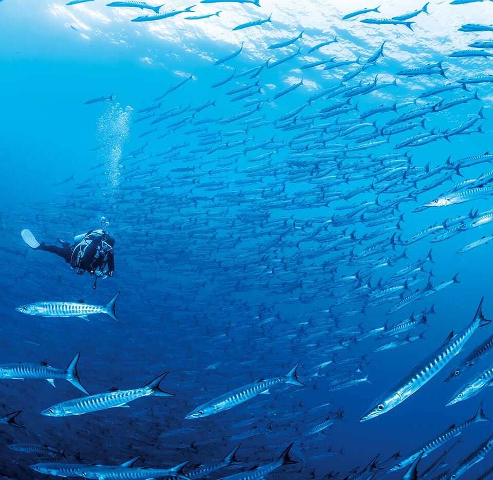 Maratua Atoll