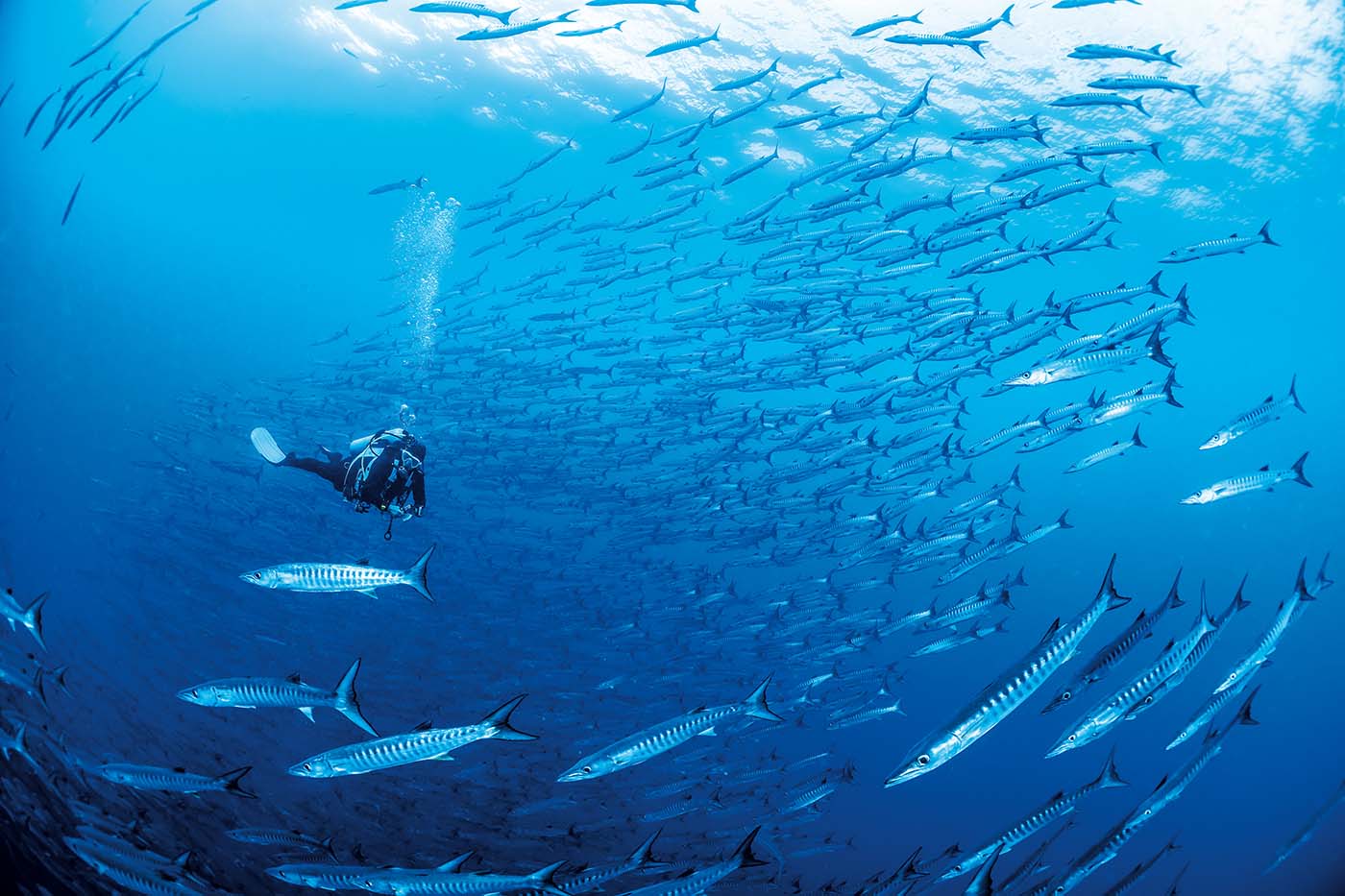 Maratua Atoll