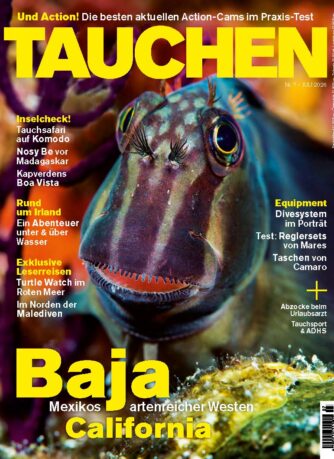 Cover Tauchen Magazin Ausgabe 07/26, Juli 2026