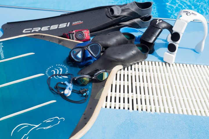 Apnoe-Ausrüstung am Beckenrand: lange Flossen, Maske, Schwimmbrillen, Nasenklemme, Kamera und ein modulares Nackengewicht