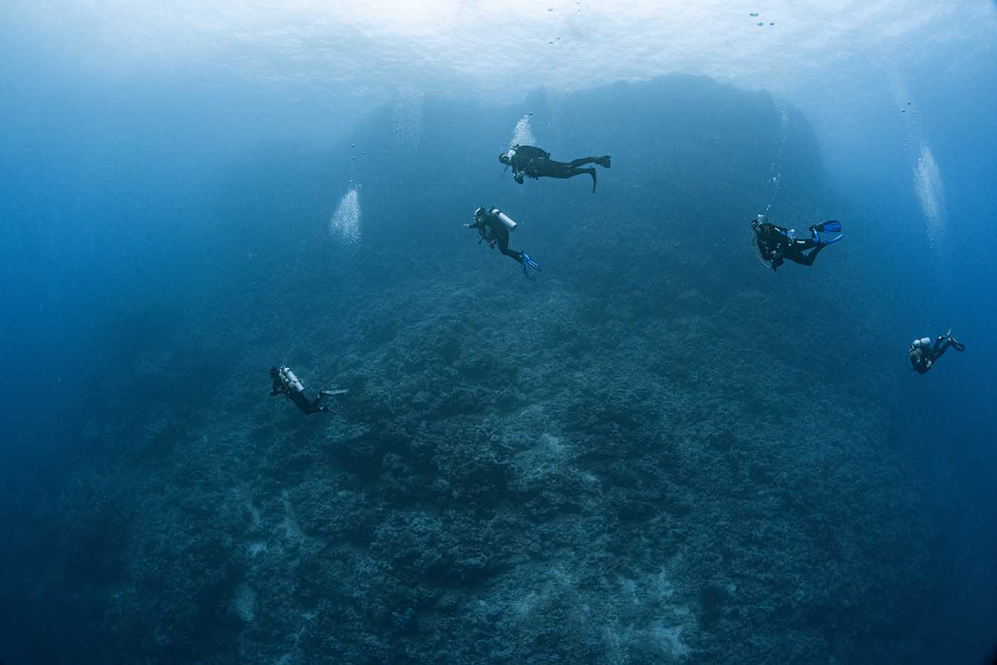 Vier Taucher gleiten im tiefen Blau über einem Riffhang im Roten Meer