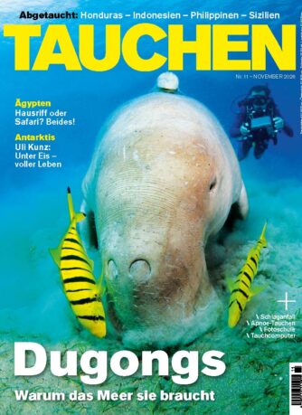Cover Tauchen Magazin 11/26
